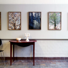 Galleri Konstrum i Alnarp