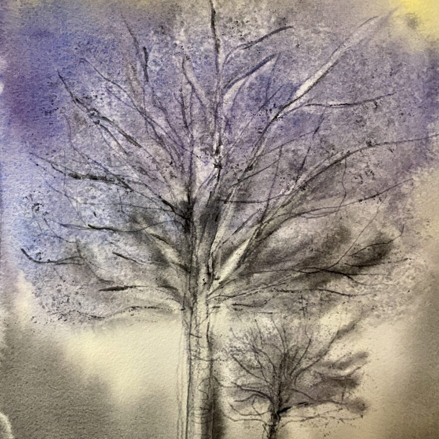 Frostnatt